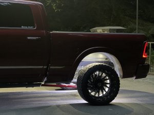 Ford Mustang Brake Rotors (2) - Rear - R1 Concepts - Drilled & Slotted Geoperformance - `05-`14